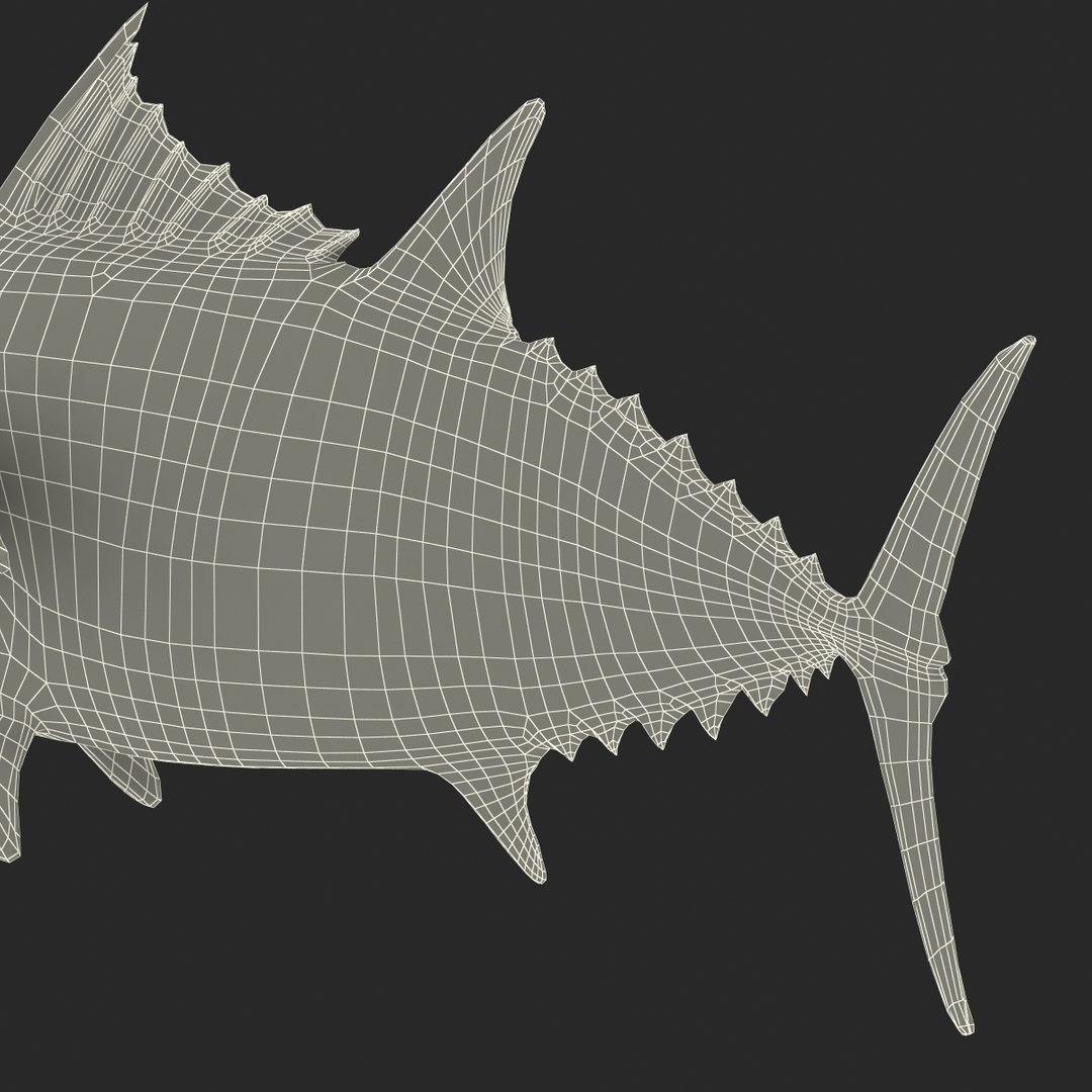 tuna fish pose 2 3d model https://p.turbosquid.com/ts-thumb/19/Cbh1k9/q13Nc9VQ/tunafish3ds3dmodel44/jpg/1461569256/1920x1080/fit_q87/5a8416520edbe7ea1b446b1ccd1dfaf79f6abacd/tunafish3ds3dmodel44.jpg