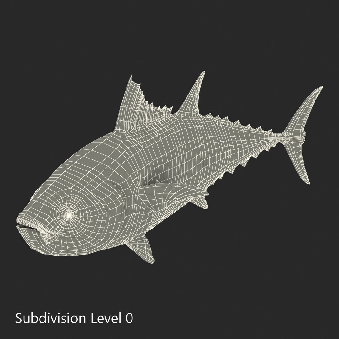 tuna fish pose 2 3d model https://p.turbosquid.com/ts-thumb/19/Cbh1k9/soh0K9LU/tunafish3ds3dmodel28/jpg/1461569254/1920x1080/fit_q87/1c6c3d9e3f61ef9a0f286f43bd78dff08ce57c86/tunafish3ds3dmodel28.jpg