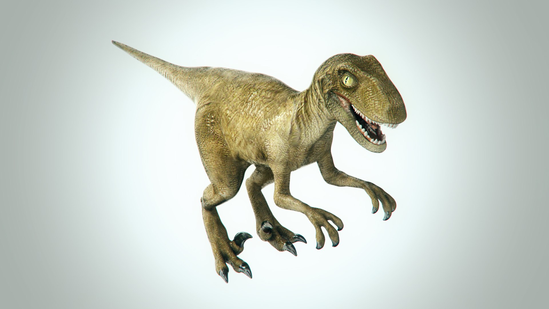 max raptor rigged character