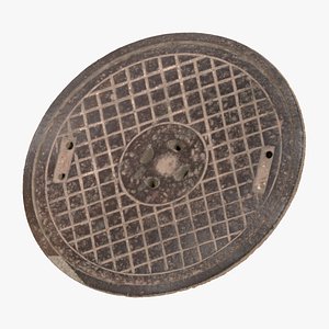 Manhole 06 RAW Scan 3D model