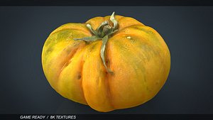 TOMATO 2