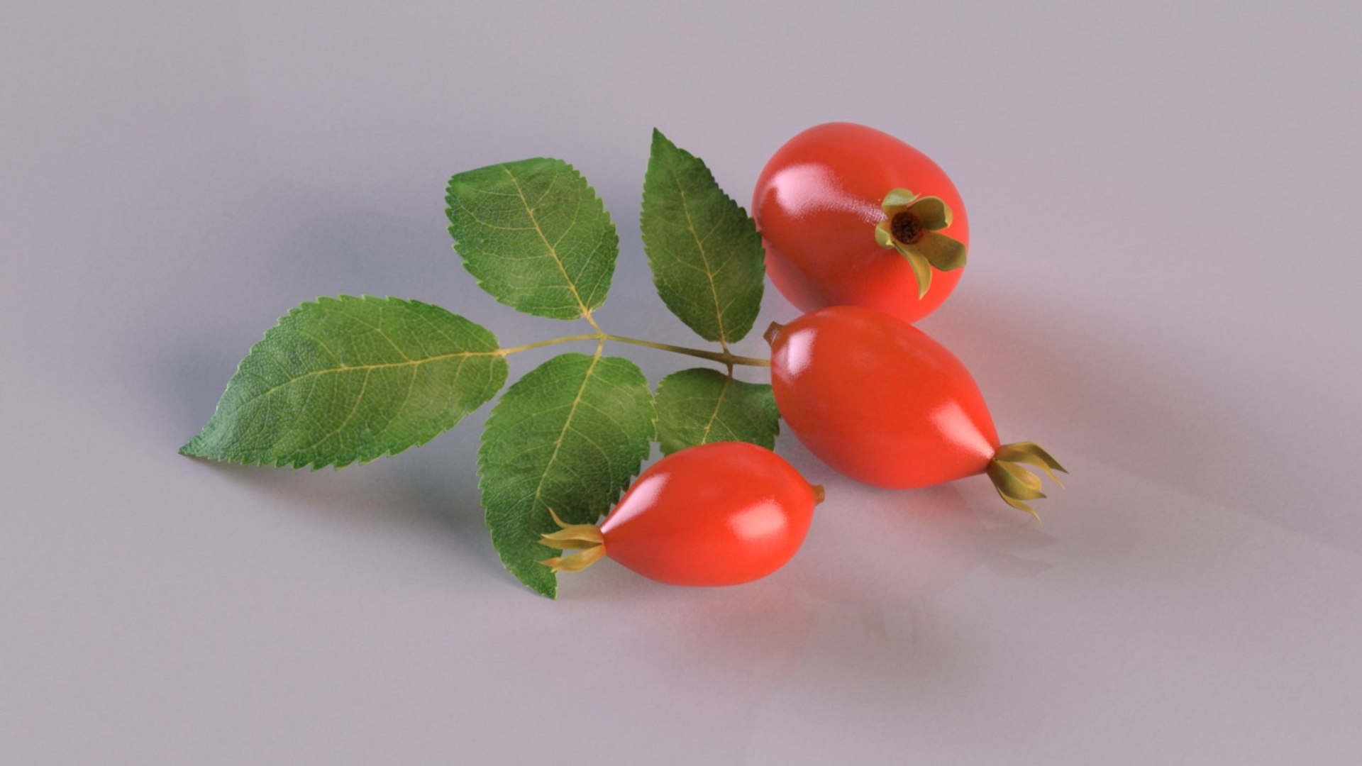 rosehips berry fruit photorealistic food 3D model https://p.turbosquid.com/ts-thumb/19/TVugox/tLJdCye3/3/jpg/1604667241/1920x1080/fit_q87/7136263f70b009c084cfe692cf561281205dfa55/3.jpg