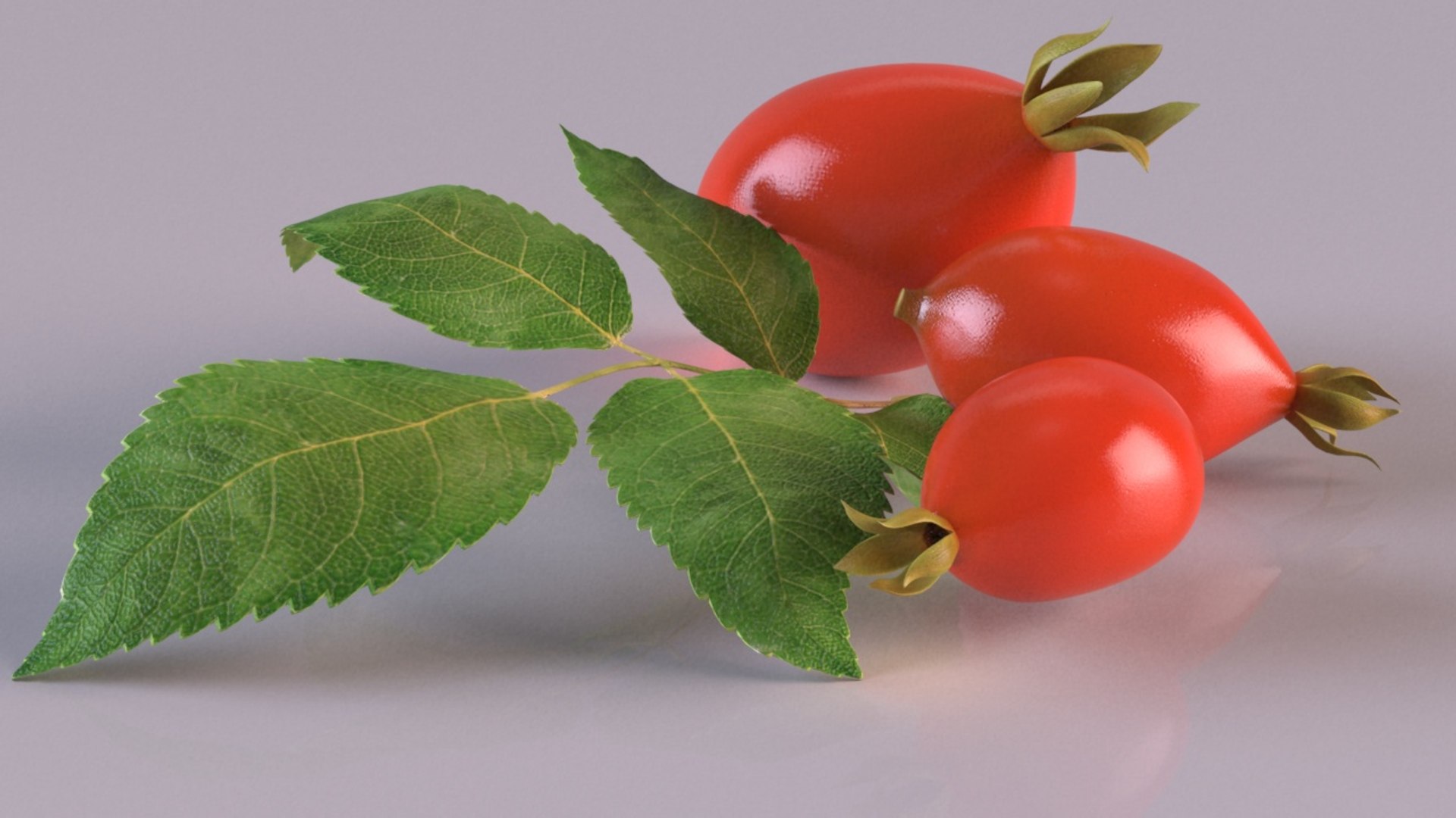 rosehips berry fruit photorealistic food 3D model https://p.turbosquid.com/ts-thumb/19/TVugox/x4mAXL92/2/jpg/1604667241/1920x1080/fit_q87/0bb25a36b8b27f3b45cf43cc5b930d8b4bdfe5f8/2.jpg
