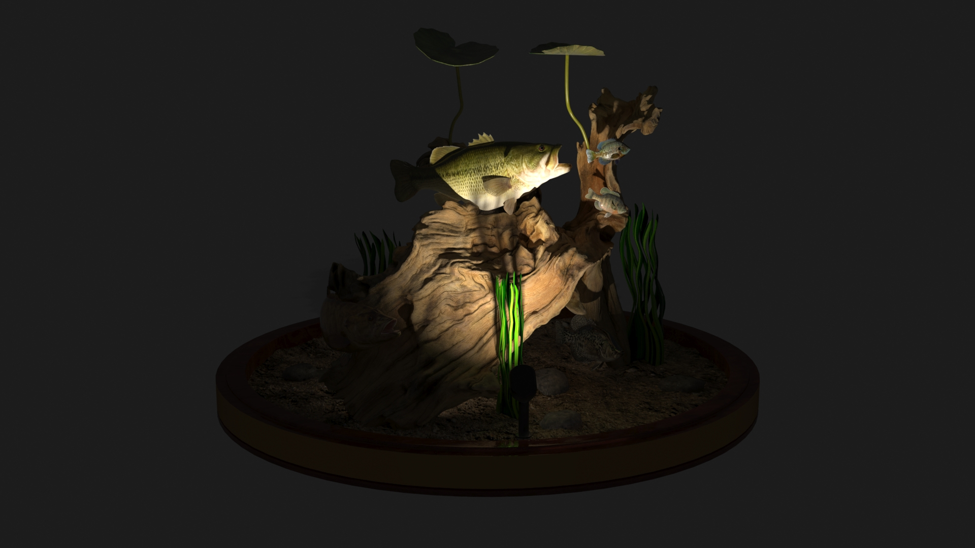 3D Model Taxidermy Habitat Scene TurboSquid 1822213