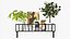 Decorative wall shelf with plants 03