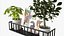 Decorative wall shelf with plants 03