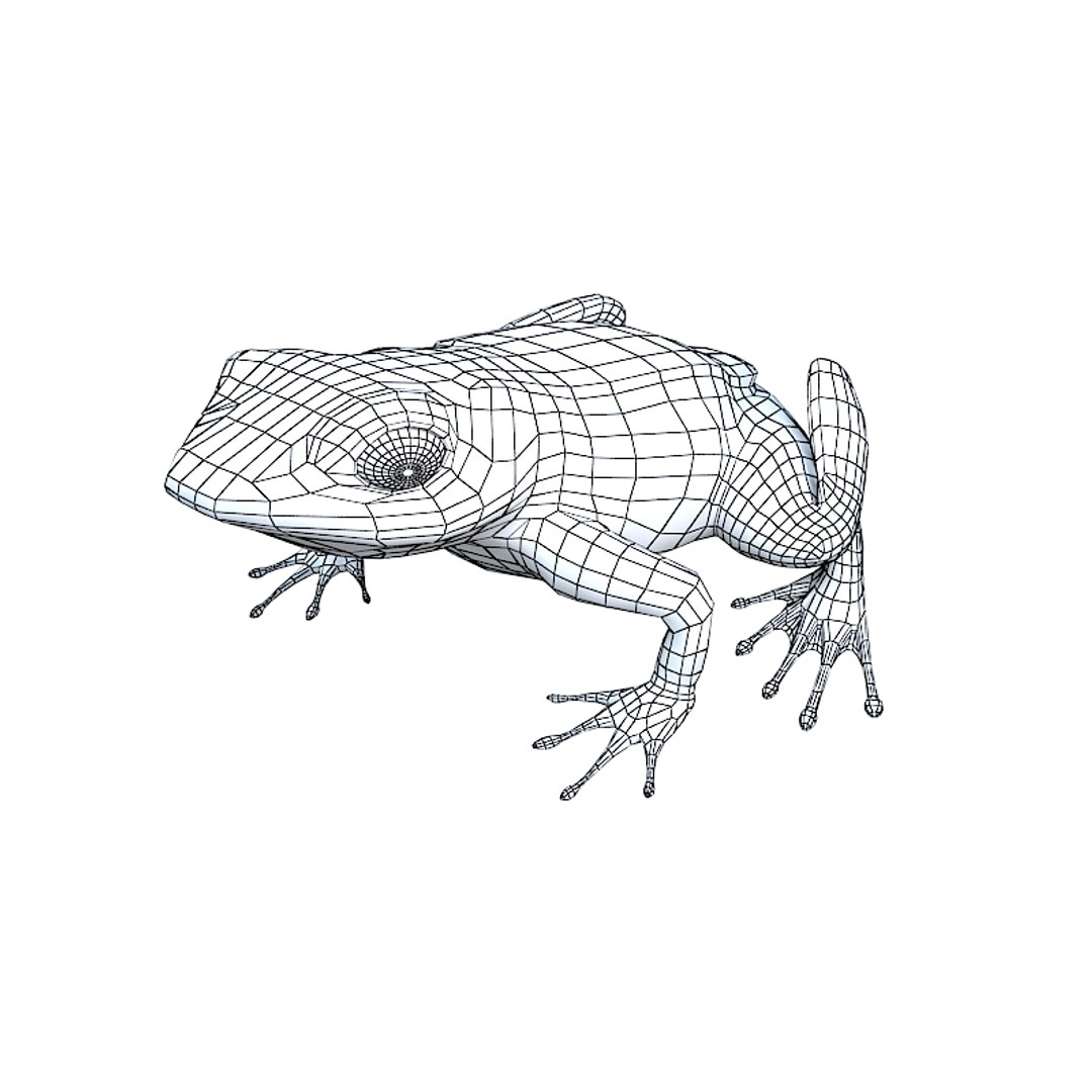 3d atelopus frog model https://p.turbosquid.com/ts-thumb/19/tHqQNd/61QDl9v5/atelopusfrogblackwhitew01/jpg/1252419923/1920x1080/fit_q87/d8271b14f5a8a890fa4c59d4f319b665ca906ba2/atelopusfrogblackwhitew01.jpg