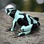 Atelopus Frosch 04 von 3DRivers