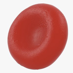 Red Blood Cell Erythrocyte