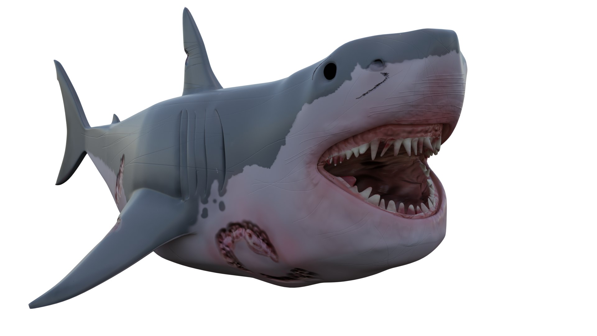 3D Great White Shark https://p.turbosquid.com/ts-thumb/19/zHE2R3/Mi/front2/png/1699895318/1920x1080/fit_q87/88fcbf5ef4dabcd8018f5ee227e5817d2a3f3875/front2.jpg