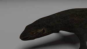 3D model komodo dragon