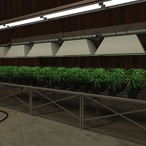 3d marijuana barn
