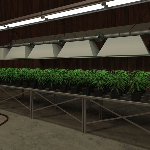 marijuanabarn_sig.jpg