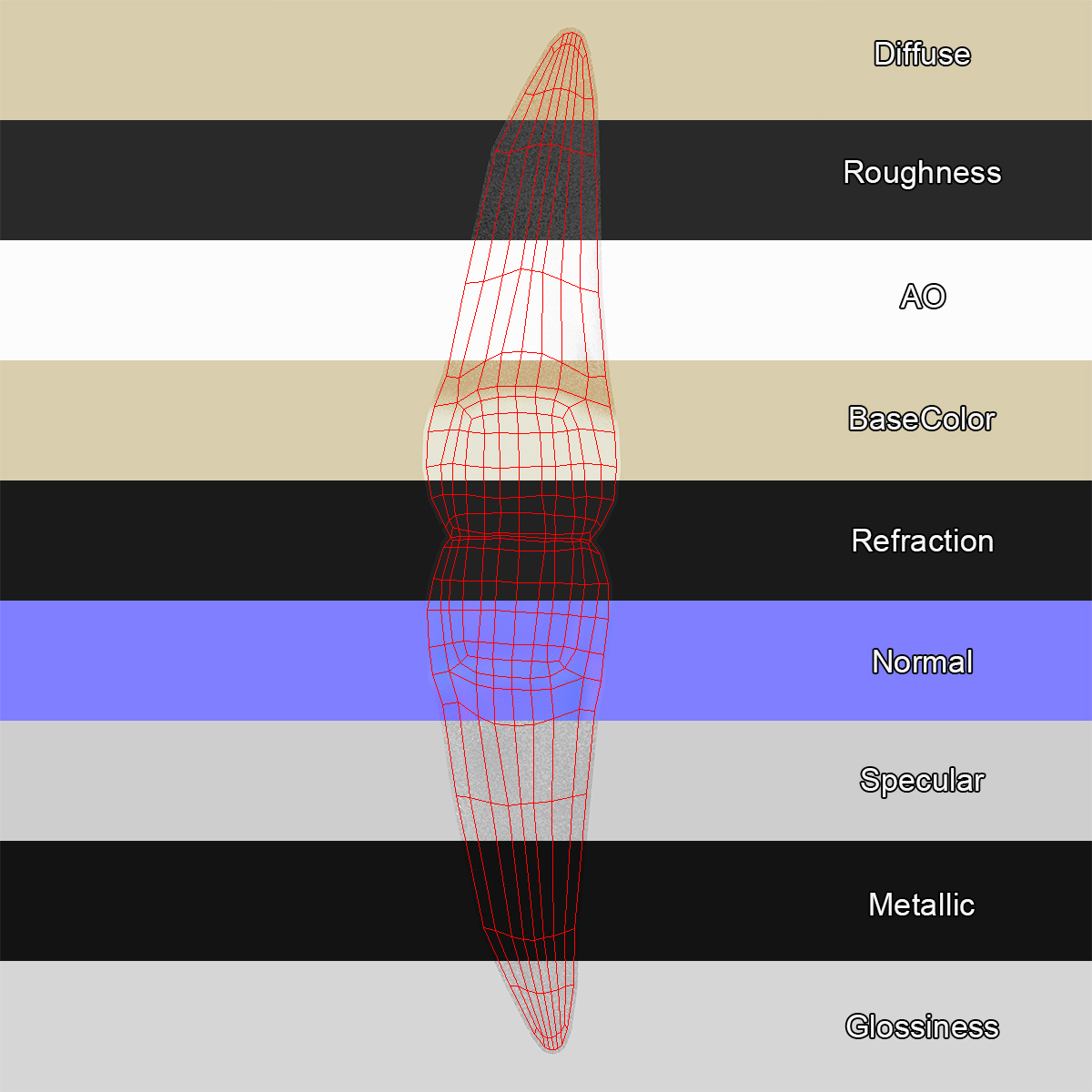 3D teeth human lower - TurboSquid 1673138