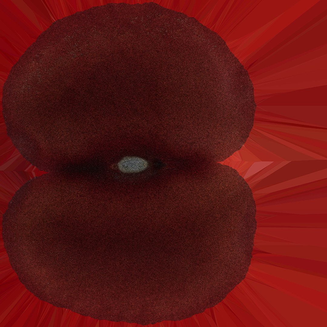 3D Red Kidney Bean 01 - Raw Scan model https://p.turbosquid.com/ts-thumb/1A/ifVEbK/0W/redbean01_e0004/png/1764354438/1920x1080/fit_q87/d644b913a6b4782cb36acc41b378d22aabba539b/redbean01_e0004.jpg