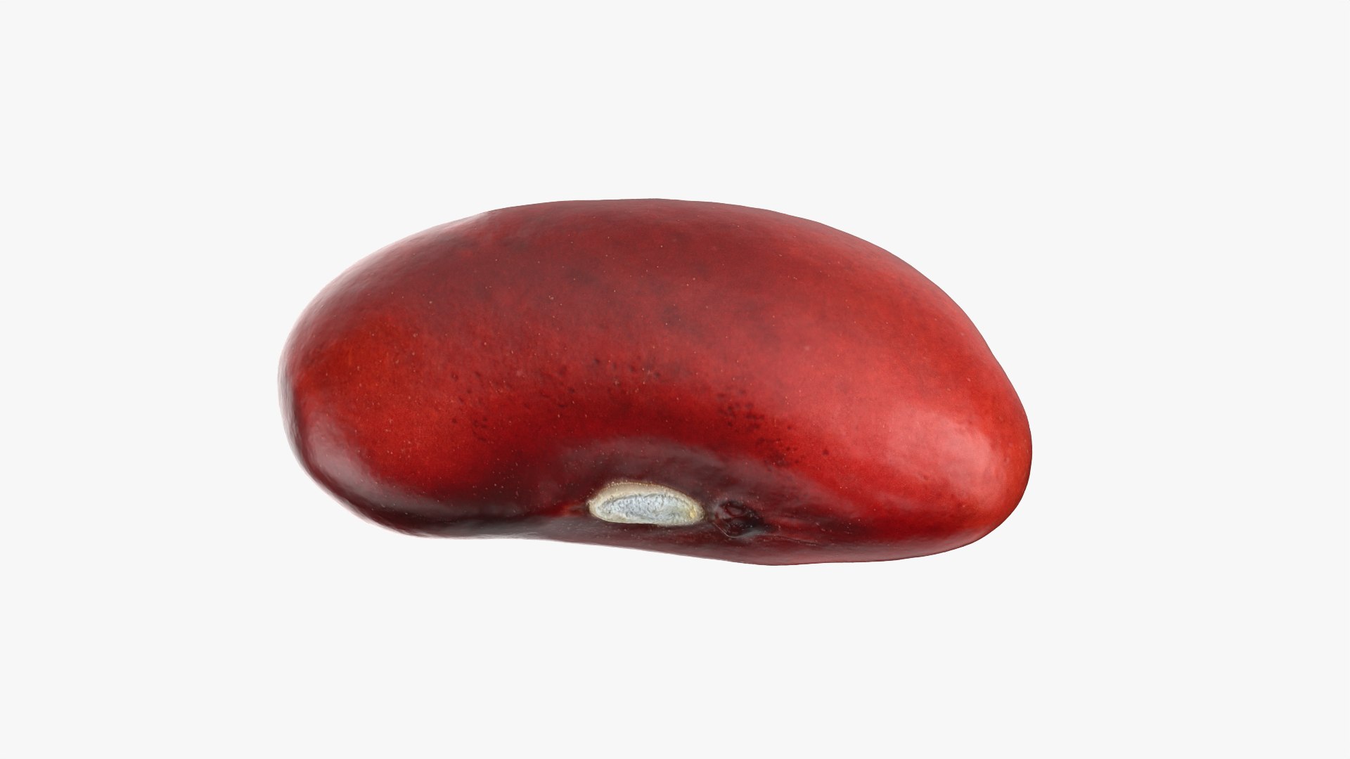 3D Red Kidney Bean 01 - Raw Scan model https://p.turbosquid.com/ts-thumb/1A/ifVEbK/4s/redbean01_0003/png/1764354405/1920x1080/fit_q87/0cbf55fe1340ec9c820efb0b679fdb130baba5ae/redbean01_0003.jpg
