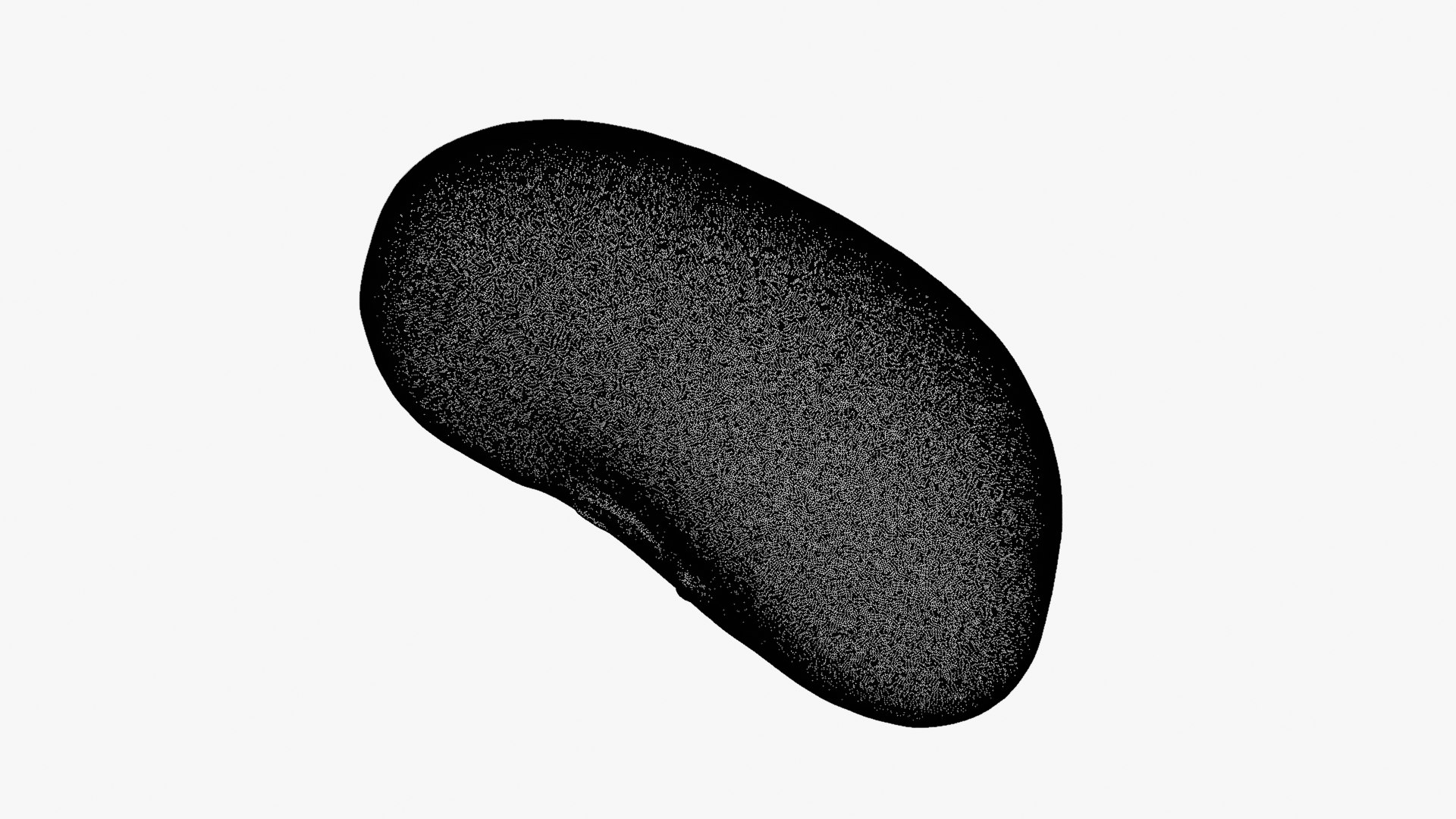 3D Red Kidney Bean 01 - Raw Scan model https://p.turbosquid.com/ts-thumb/1A/ifVEbK/B8/redbean01_d0011/png/1764354435/1920x1080/fit_q87/a076ef5672f16bf4cbfcea82469bb85fadc1d559/redbean01_d0011.jpg