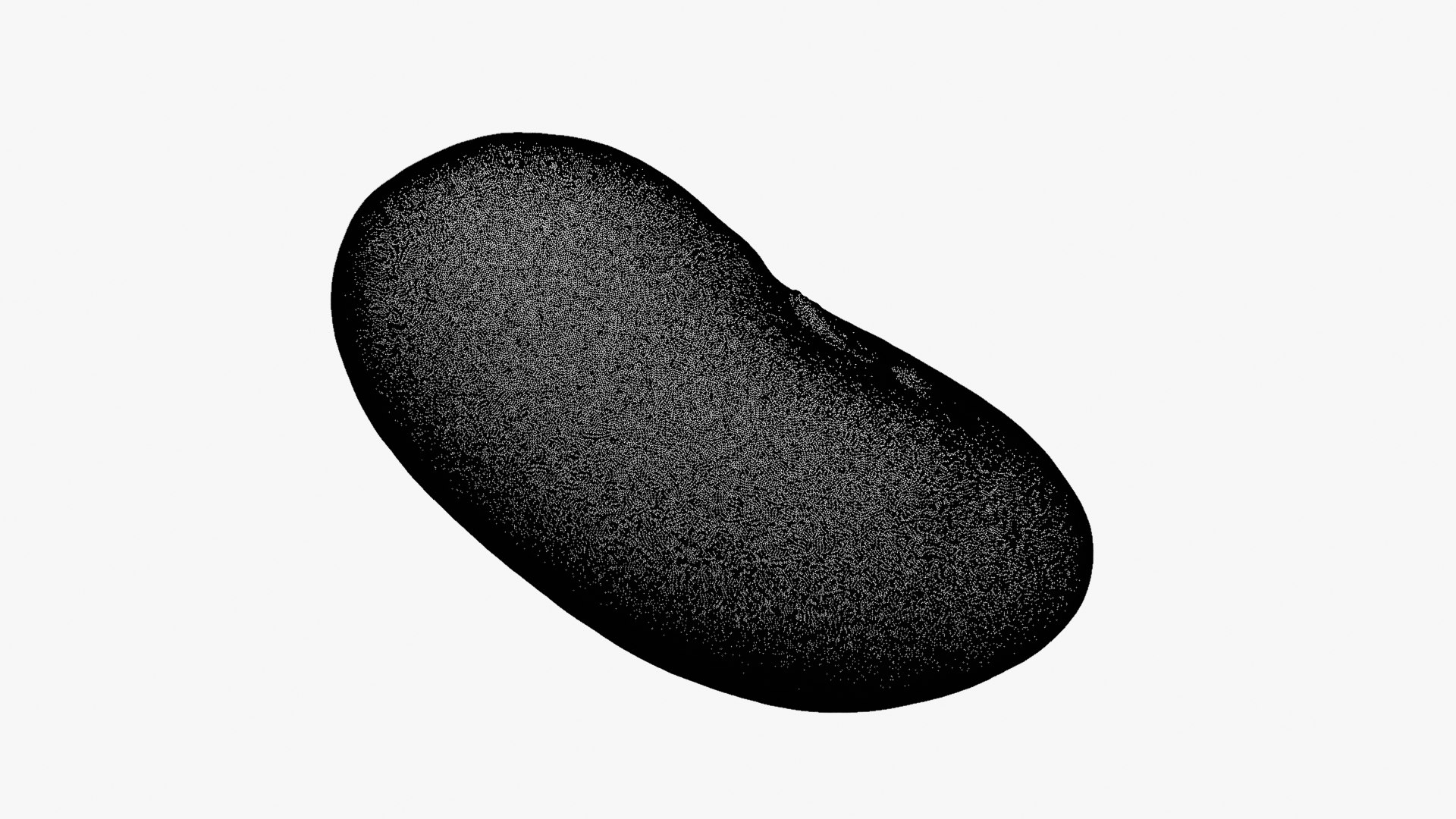 3D Red Kidney Bean 01 - Raw Scan model https://p.turbosquid.com/ts-thumb/1A/ifVEbK/Ee/redbean01_d000/png/1764354433/1920x1080/fit_q87/48007cb1c651c3bb36480cdcef1d891b37735dc3/redbean01_d000.jpg
