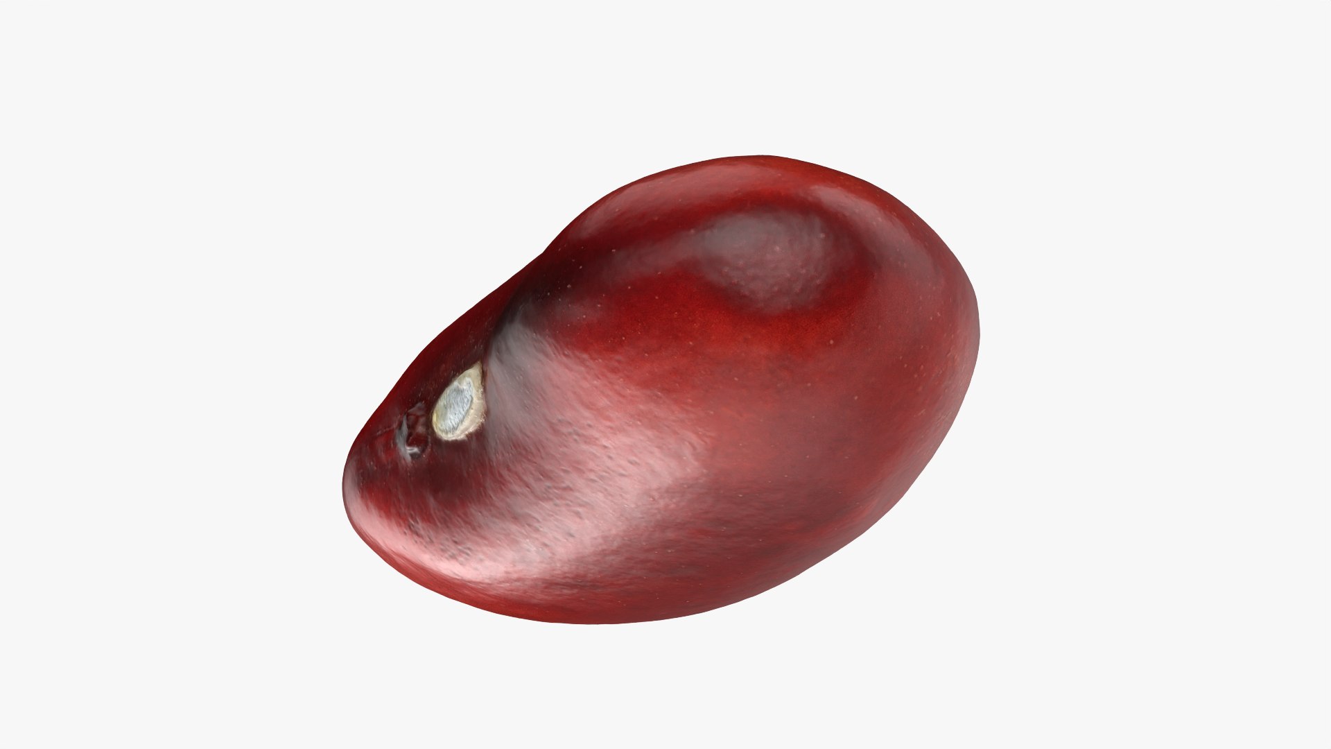 3D Red Kidney Bean 01 - Raw Scan model https://p.turbosquid.com/ts-thumb/1A/ifVEbK/FM/redbean01_0004/png/1764354407/1920x1080/fit_q87/5dd1ddc999db7b81babaf7eda66cbe0827f51fc1/redbean01_0004.jpg