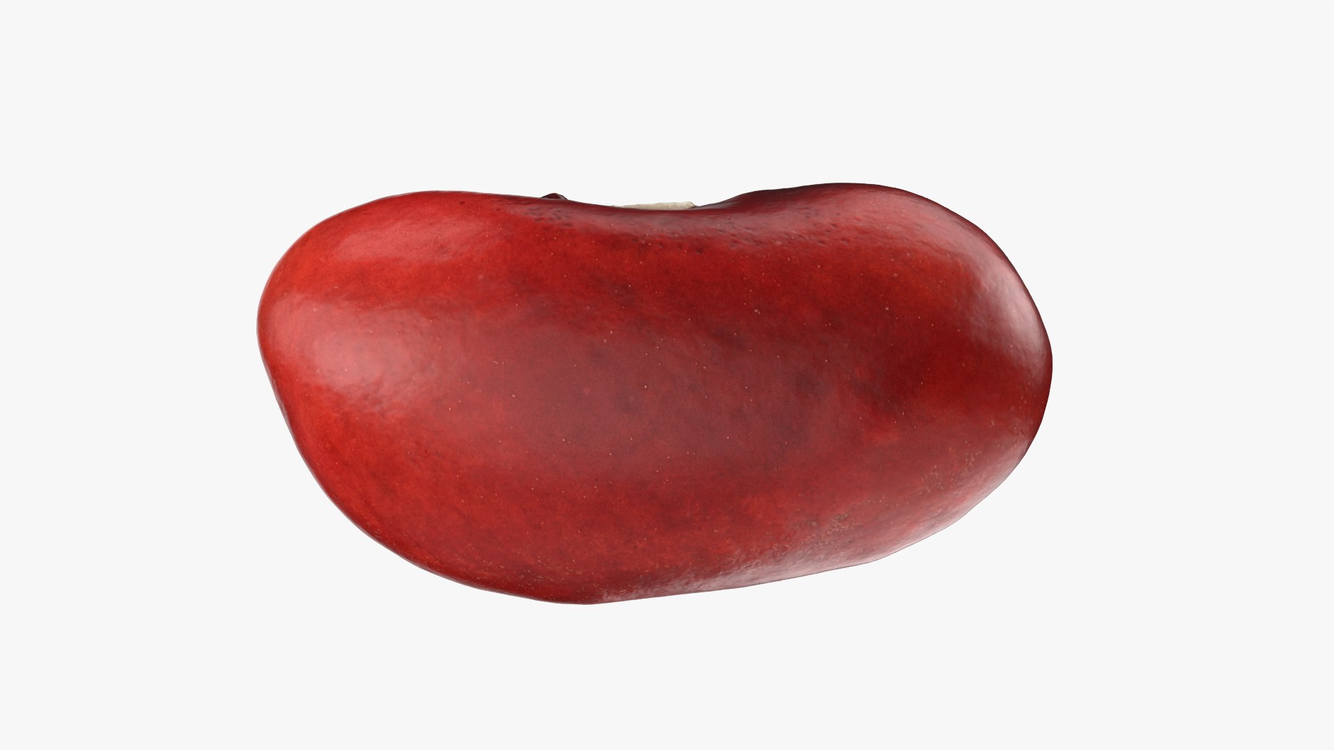 3D Red Kidney Bean 01 - Raw Scan model https://p.turbosquid.com/ts-thumb/1A/ifVEbK/RG/redbean01_0008/png/1764354417/1920x1080/fit_q87/de70d4c7fbefce379491be9f2b9072894057a298/redbean01_0008.jpg
