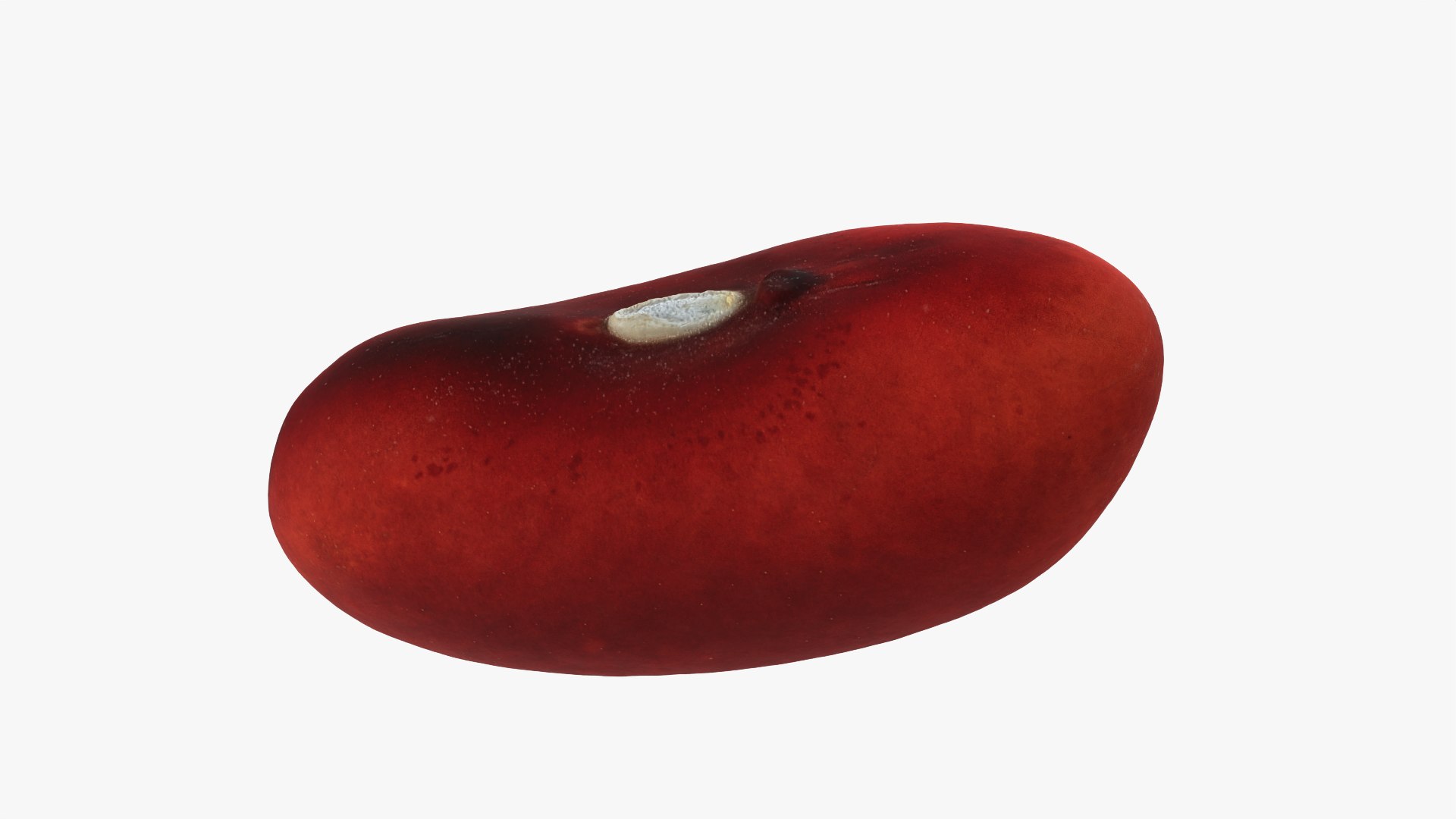 3D Red Kidney Bean 01 - Raw Scan model https://p.turbosquid.com/ts-thumb/1A/ifVEbK/Y1/redbean01_0010b/png/1764354424/1920x1080/fit_q87/321677c4c813779872a835c42d01a9f10adaf41e/redbean01_0010b.jpg