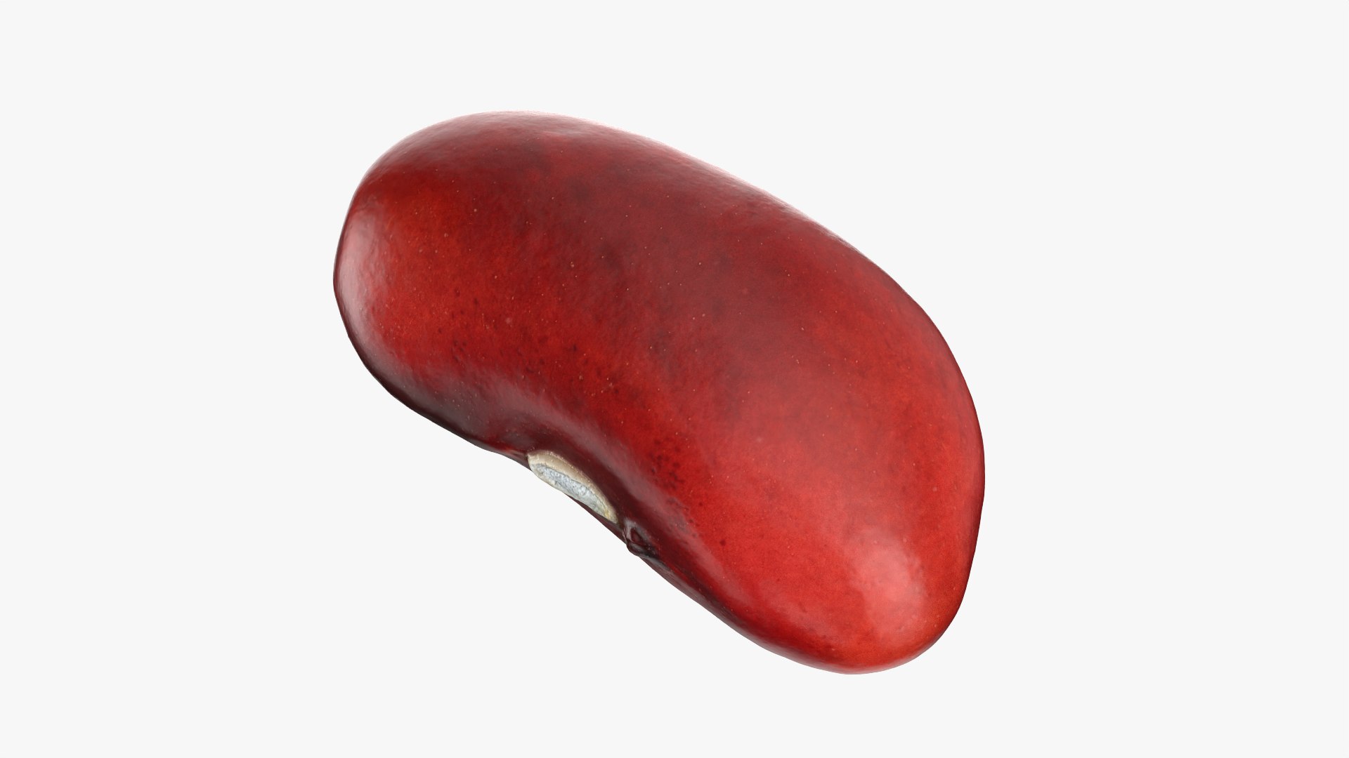 3D Red Kidney Bean 01 - Raw Scan model https://p.turbosquid.com/ts-thumb/1A/ifVEbK/hL/redbean01_0011/png/1764354427/1920x1080/fit_q87/cae98c9af5c49d458aee2049b5f00fb9a477d3f9/redbean01_0011.jpg