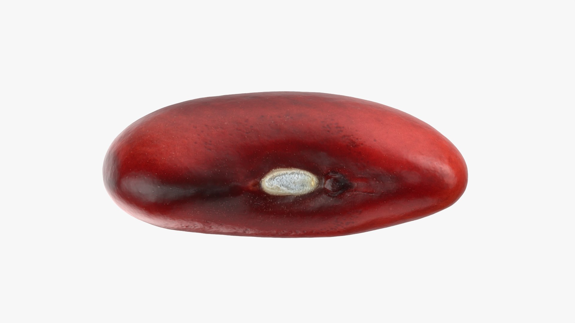 3D Red Kidney Bean 01 - Raw Scan model https://p.turbosquid.com/ts-thumb/1A/ifVEbK/hy/redbean01_0005/png/1764354410/1920x1080/fit_q87/8646bf2f6425840906a395884ae4856075f8b2e5/redbean01_0005.jpg