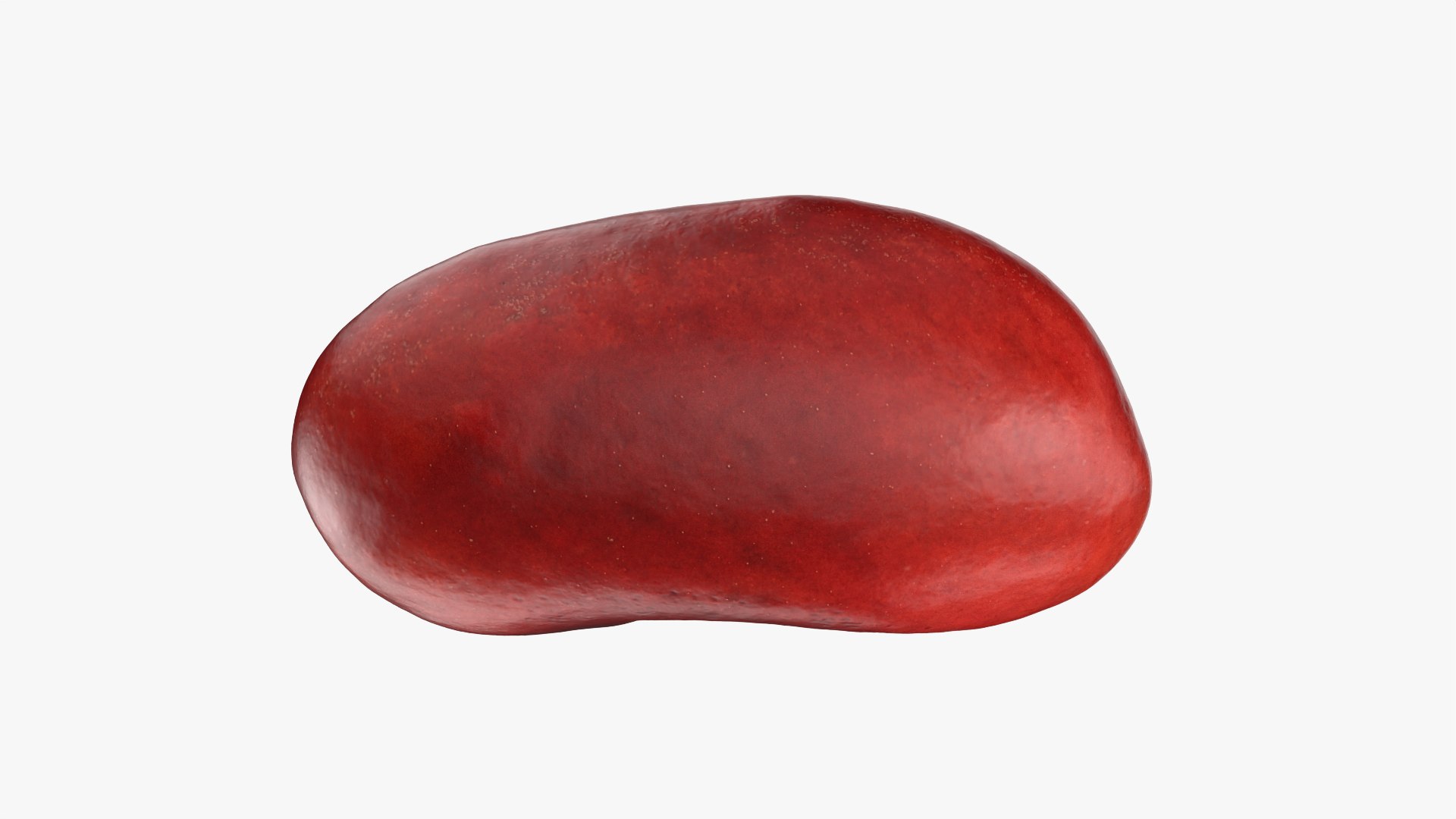 3D Red Kidney Bean 01 - Raw Scan model https://p.turbosquid.com/ts-thumb/1A/ifVEbK/sU/redbean01_0006/png/1764354411/1920x1080/fit_q87/e4a5f172890ad5ea8826314b8616627cd3bd5d02/redbean01_0006.jpg