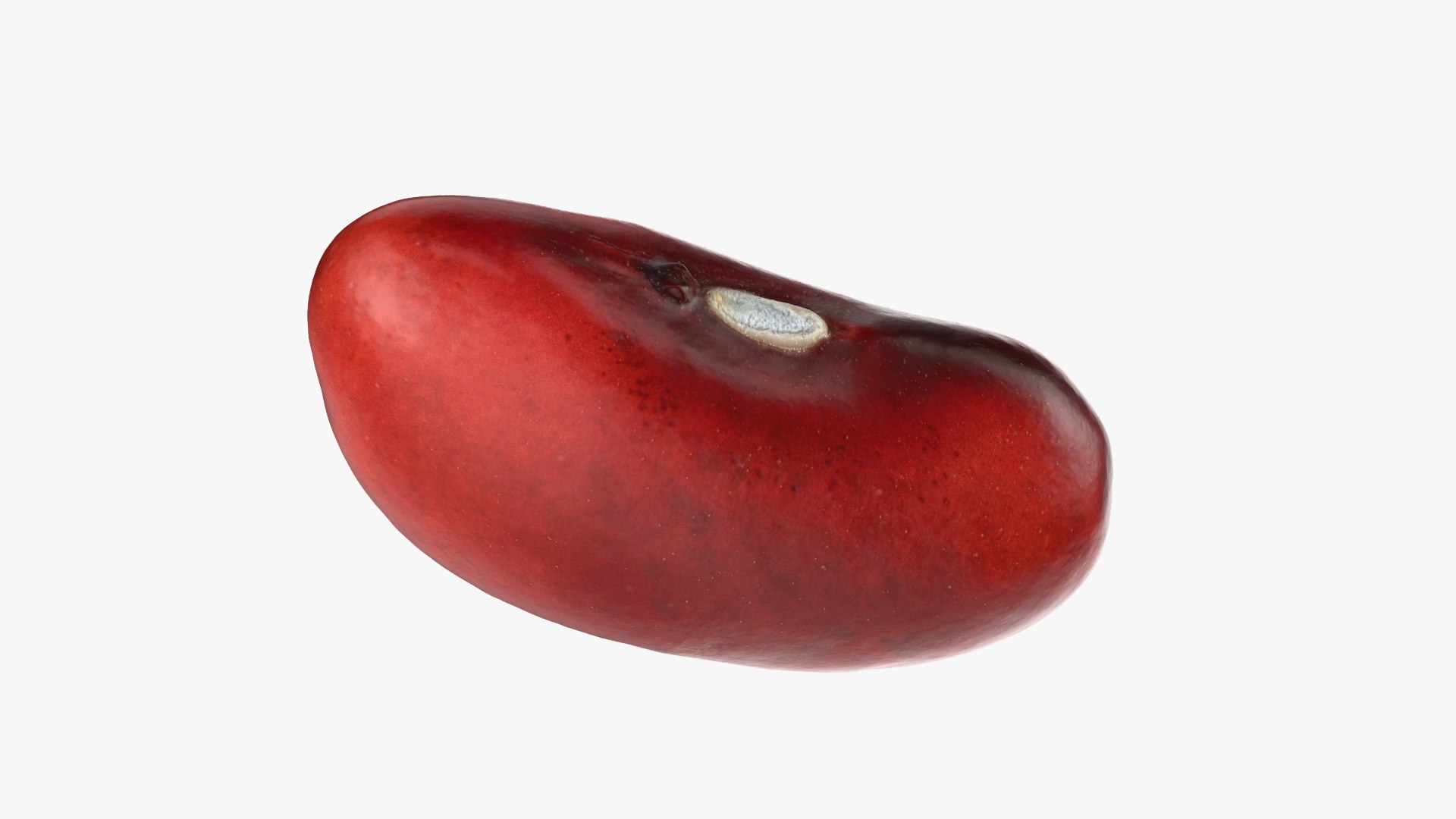 3D Red Kidney Bean 01 - Raw Scan model https://p.turbosquid.com/ts-thumb/1A/ifVEbK/uc/redbean01_0002/png/1764354404/1920x1080/fit_q87/9505b07c56735ec6120440788840a42caede8182/redbean01_0002.jpg