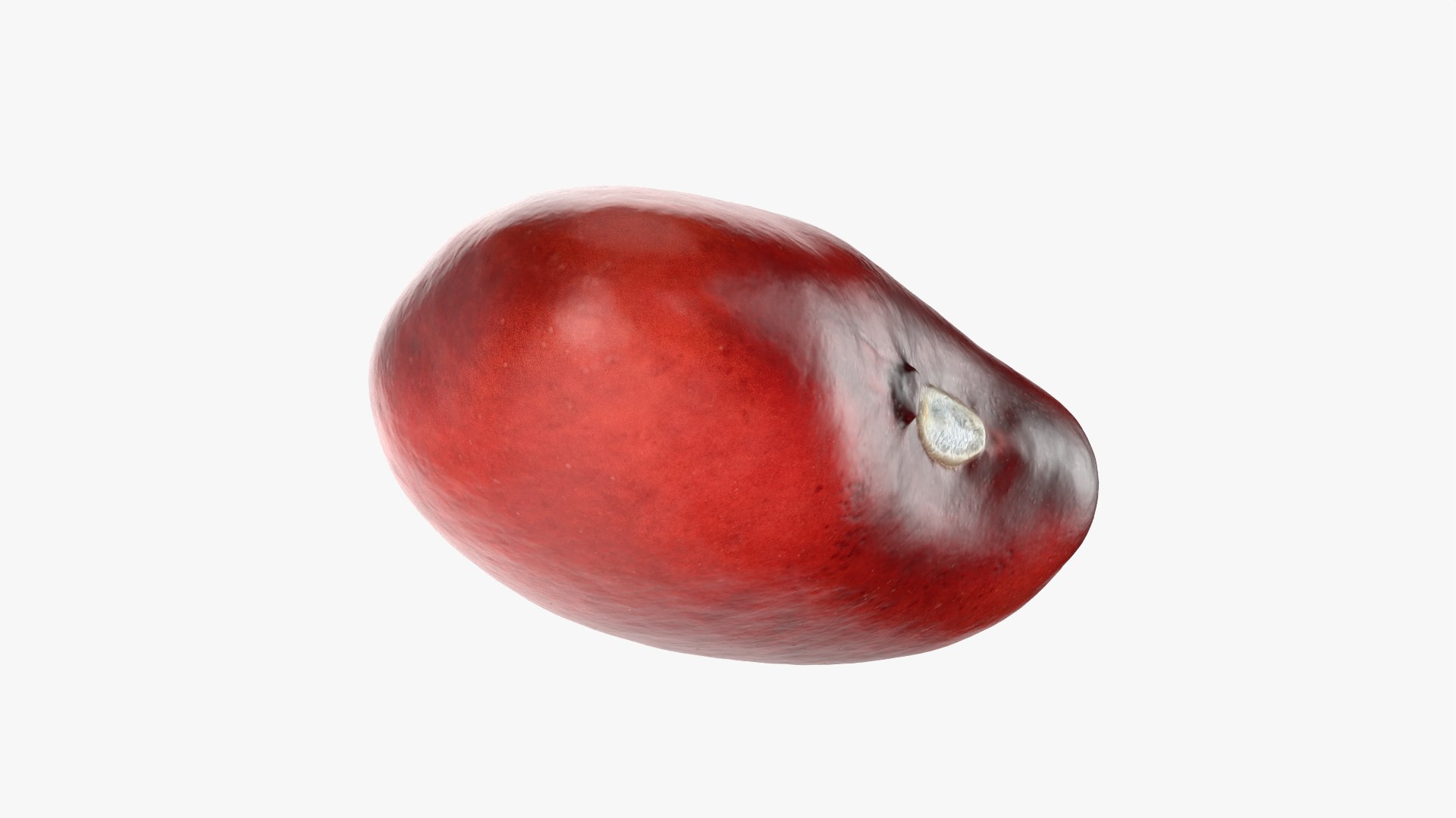 3D Red Kidney Bean 01 - Raw Scan model https://p.turbosquid.com/ts-thumb/1A/ifVEbK/yR/redbean01_0009/png/1764354422/1920x1080/fit_q87/0b2e5644d14ea7657aabd2415e40d6bad059a4c1/redbean01_0009.jpg