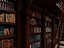 Scena d'interni di una lussuosa biblioteca reale europea in stile classico.