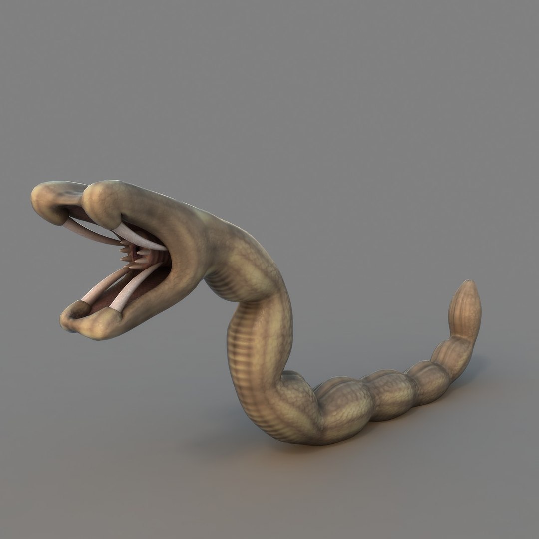 rigged worm 3D model https://p.turbosquid.com/ts-thumb/1A/q11Cw4/Esqmsc1f/ren_02/jpg/1506178038/1920x1080/fit_q87/de101c053c4f2f60fa990986591e8682bb286241/ren_02.jpg