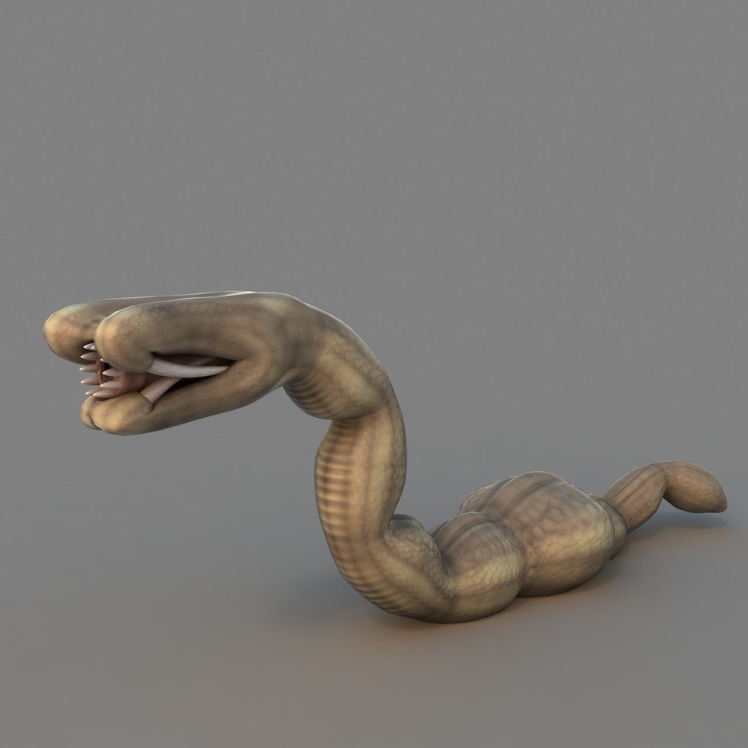 rigged worm 3D model https://p.turbosquid.com/ts-thumb/1A/q11Cw4/Hm0NuQxt/ren_04/jpg/1506178113/1920x1080/fit_q87/09e6d0767d9fb54bd79c71ee2eaaa078ed9cfc0b/ren_04.jpg