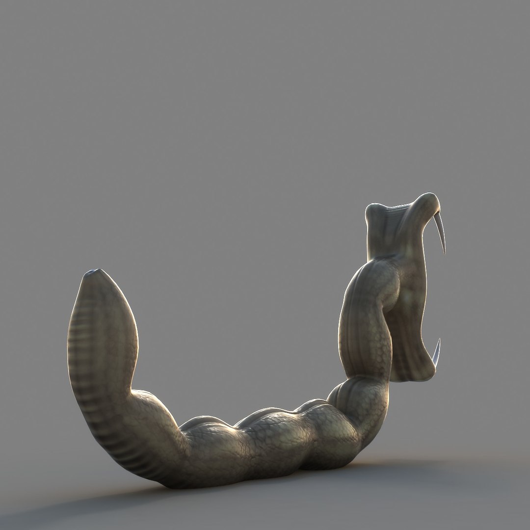 rigged worm 3D model https://p.turbosquid.com/ts-thumb/1A/q11Cw4/I2tuJPZR/ren_06/jpg/1506178134/1920x1080/fit_q87/75ebea96e7f28d07942d5385181620ebedcb17c5/ren_06.jpg