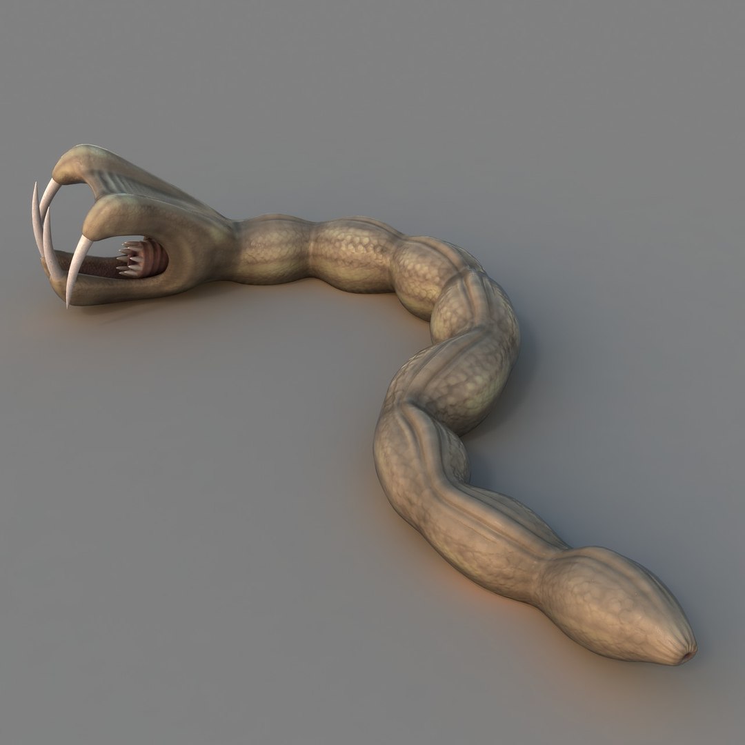 rigged worm 3D model https://p.turbosquid.com/ts-thumb/1A/q11Cw4/IgwvA2vp/ren_10/jpg/1506178179/1920x1080/fit_q87/dd6d1a3a203e084eba97ba7df853eccfb7d40064/ren_10.jpg
