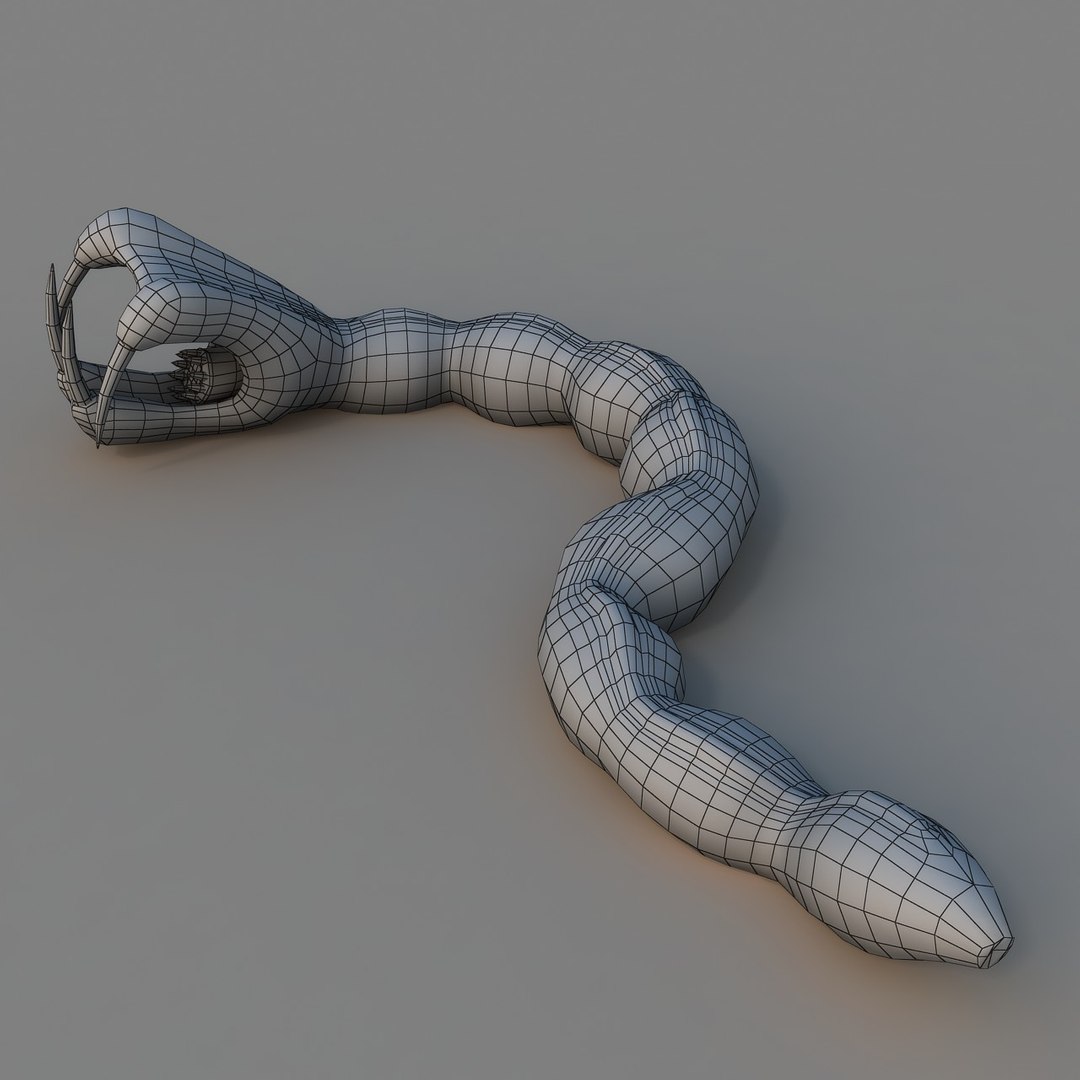 rigged worm 3D model https://p.turbosquid.com/ts-thumb/1A/q11Cw4/Sr9eYfjp/ren_11/jpg/1506178191/1920x1080/fit_q87/a8985b46078a46be44dfb74f00ab21a0f2b50408/ren_11.jpg