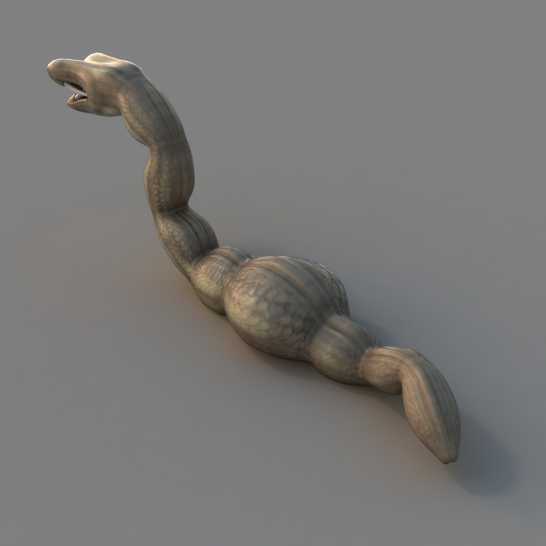 rigged worm 3D model https://p.turbosquid.com/ts-thumb/1A/q11Cw4/Wg0xXnKW/ren_05/jpg/1506178125/1920x1080/fit_q87/a9e51658afaf1ef57cc869c79a383261922fac7b/ren_05.jpg