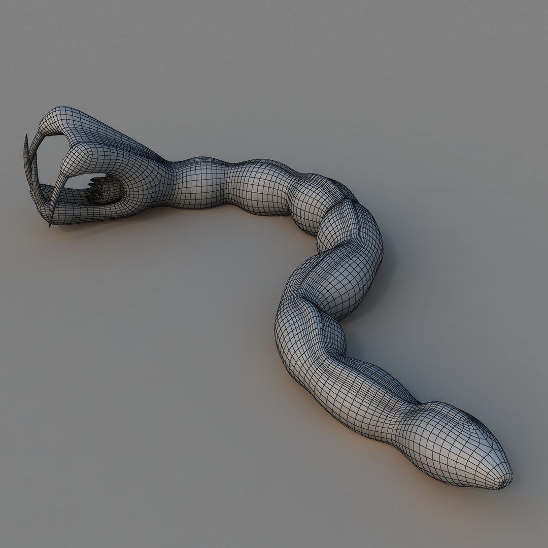 rigged worm 3D model https://p.turbosquid.com/ts-thumb/1A/q11Cw4/YAmbLeWd/ren_12/jpg/1506178202/1920x1080/fit_q87/5ccca134459bb7a969e4811c105c68ba7088bd0c/ren_12.jpg