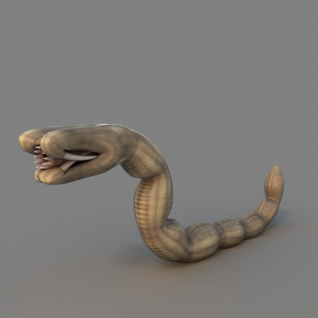 rigged worm 3D model https://p.turbosquid.com/ts-thumb/1A/q11Cw4/dLCCoKQx/ren_03/jpg/1506178093/1920x1080/fit_q87/0920910f085d5d49812190259eb17347fd88f230/ren_03.jpg