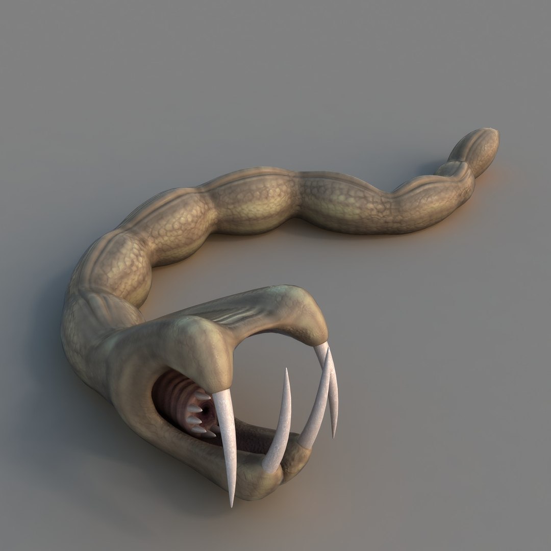 rigged worm 3D model https://p.turbosquid.com/ts-thumb/1A/q11Cw4/zJbhhs03/ren_08/jpg/1506178158/1920x1080/fit_q87/ac47dbdef84de0271737b6fce835f2998caa6fb4/ren_08.jpg