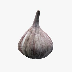 Medieval Garlic 1 3D model