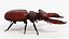 Stag Beetle Static