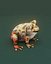 Cartoon Red-legged Frog 3D Model