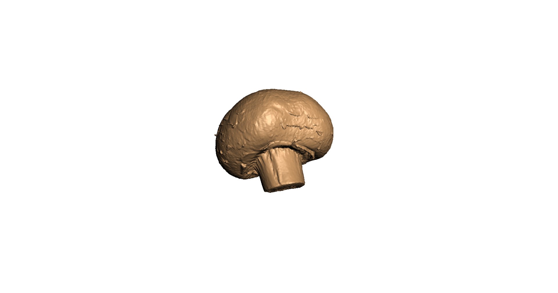 3d champignon mushroom https://p.turbosquid.com/ts-thumb/1A/ygI0cA/KW5P98Dq/7/png/1471864524/1920x1080/fit_q87/ce1764c9145f63015fb689b5d0ee2dfbc9a63401/7.jpg