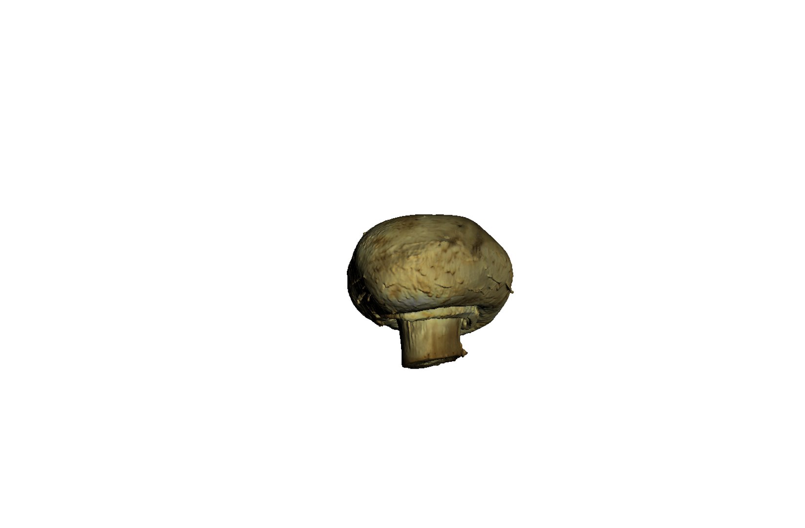 3d champignon mushroom https://p.turbosquid.com/ts-thumb/1A/ygI0cA/MQ3hktdo/3/png/1471864524/1920x1080/fit_q87/4edaf339136ba98545ee9a2d5b552cc1ea9b45cb/3.jpg