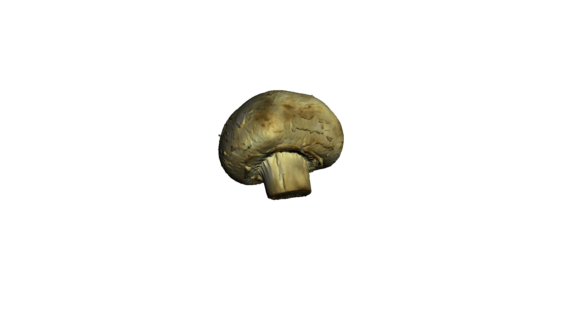 3d champignon mushroom https://p.turbosquid.com/ts-thumb/1A/ygI0cA/OIF3j9GF/image/png/1471864587/1920x1080/turn_fit_q99/af5f87b3ebd93ad817afbeccf319d97f62497d19/image-1.jpg