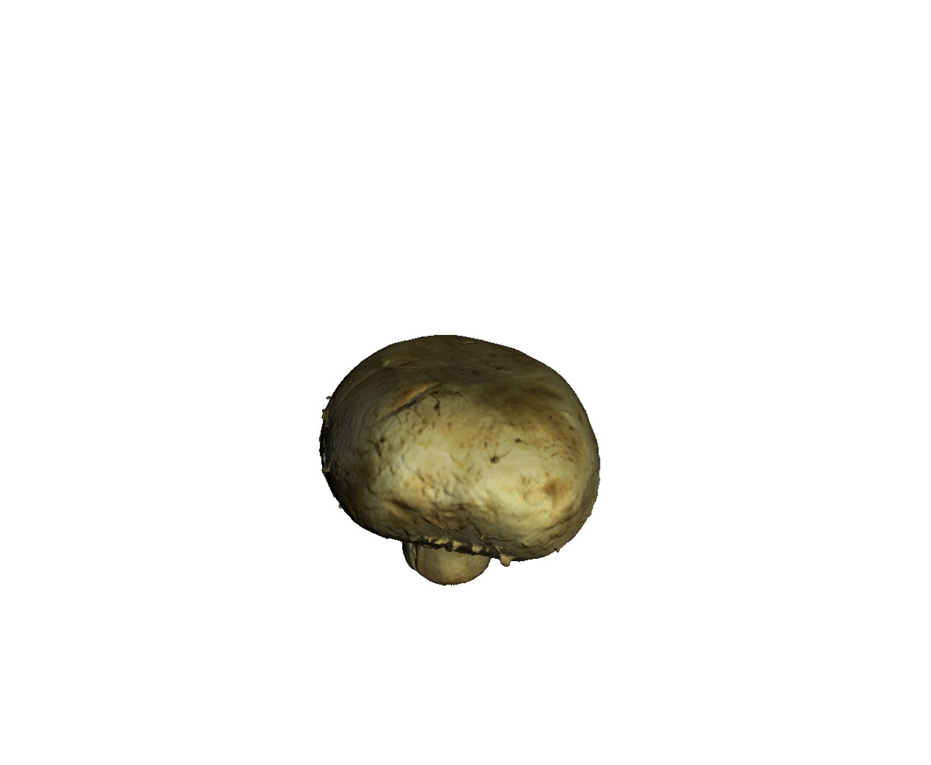 3d champignon mushroom https://p.turbosquid.com/ts-thumb/1A/ygI0cA/Pek1GOqM/6/png/1471864524/1920x1080/fit_q87/c65f6305f7011993dbcf95dbfee3bdb518939348/6.jpg