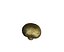 Champignon Mushroom