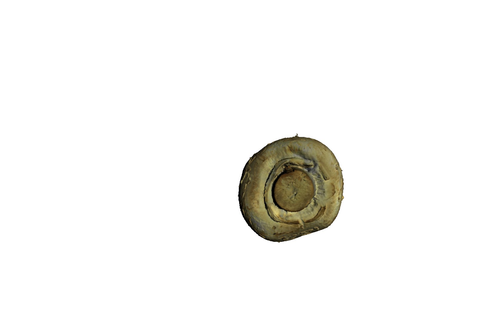 3d champignon mushroom https://p.turbosquid.com/ts-thumb/1A/ygI0cA/Z2SVeU7W/5/png/1471864524/1920x1080/fit_q87/c500cd948df351bca3efdc10004603cec5b69e40/5.jpg
