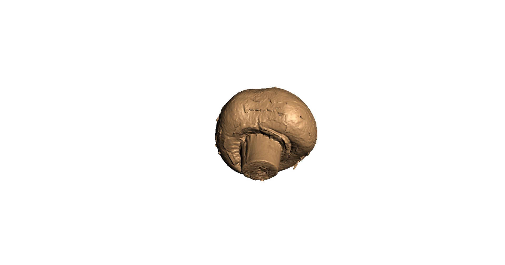 3d champignon mushroom https://p.turbosquid.com/ts-thumb/1A/ygI0cA/esb2WXfH/8/png/1471864524/1920x1080/fit_q87/38774eba183e7f7085ae5958aa2630e95145d497/8.jpg